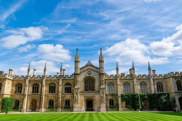 Best University Courses for High Salary in 2025
